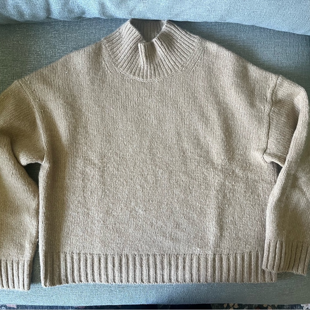 EVERLANE Cloud Oversize Turtleneck, M